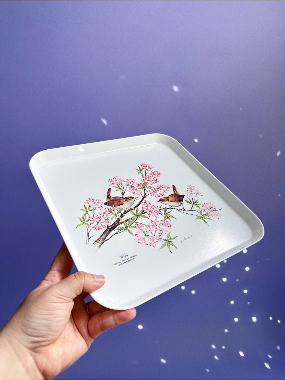 Vintage Wren Bird & Blossom Melanine Tray / Platter